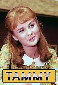 Tammy (TV Series 1965–1966)