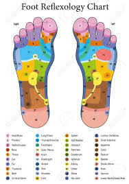 Foot Reflexology Alternative Acupressure And Physiotherapy Health