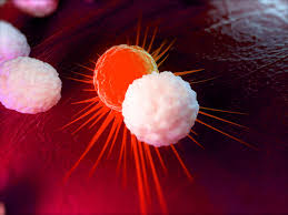 Astrazeneca provides this link as a service to website visitors. Gulf Astrazeneca