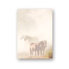 Vorlage liniert briefpaper / liniertes papier ausdrucken kostenlos briefpapier vorlage wir haben 20 bilder über briefpapier vorlage einschließlich bilder, fotos, hintergrundbilder und. 20 Blatt Briefpapier Tierwelt Pferde Im Nebel Din A4 Format Paper Media Amazon De Burobedarf Schreibwaren