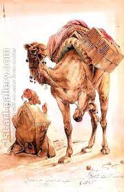 The shelter for the camels should be constructed in such a way that it protects the camels from direct wind, pests and predators. Pin On Camels