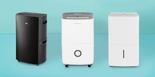 When it comes to finding the best dehumidifier for your basement, there are several things that you need to keep in mind. 6 Best Dehumidifiers For 2021 Top Rated Dehumidifiers Reviewed By Experts
