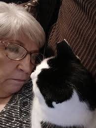 My name is Kevin. I am 3 years old. My mom found me when she was looking  for her black boy Michio. I had entered the apartment of a family who was