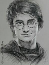 Shop paperbacks, ebooks, and more! In The Wrong House The Diary In 2021 Harry Potter Portraits Harry Potter Art Drawings Harry Potter Drawings