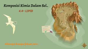 Mengekalkan tekanan osmosis dlm sel dn mempengaruhi tindakan saraf. Komposisi Kimia Dalam Sel By Muhd Hanter