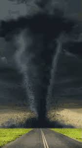 Гифки и гиф анимация, gif. Tasmanian Devil Tornado Gifs Tenor