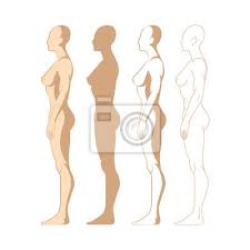 Most women have a preference for thinner body types, less muscular development, and less body fat. Imprints Of The Hands On Naked Female Body Leinwandbilder Bilder Spur Bustenhalter Behalten Myloview De