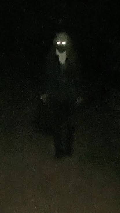 Glowing Eyes in the Dark: Terrifying Encounters Revealed | TikTok