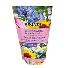 If you're sowing in autumn, you only need to water your seeds once and then leave them over winter, when the seeds will be dormant. Mckenzie Perennial Wildflowers Seeds 137202 Rona