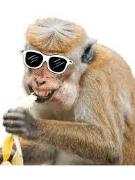 Affe lustig mit Brille