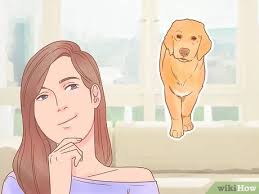 Reserve early, so you do not miss out on a perfect puppy! 3 Ways To Buy A Golden Retriever Puppy Wikihow
