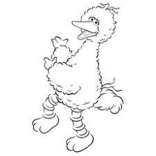 The contrast between the black night sky and off white baby owls is captivating. Top 25 Free Printable Big Bird Coloring Pages Online