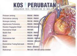 Fungsi jantung bagi manusia penting dalam sistem peredaran darah dan pernapasan. Vivix Shaklee Ikhtiar Terbaik Tekanan Darah Tinggi Jantung Dan Kolestrol Tinggi Bonda Miza Pengedar Leader Shaklee Terbaik Malaysia