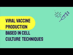 Maybe you would like to learn more about one of these? How Vaccines Are Produced In Animal Cell Culture Based Methods Youtube