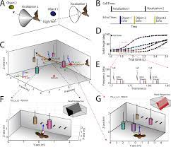 Vaping shouldn't generally trigger a smoke or fire alarm, but it does happen sometimes. Dynamic Representation Of 3d Auditory Space In The Midbrain Of The Free Flying Echolocating Bat Elife