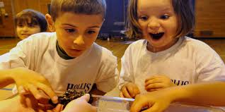 New England Aquarium at Hollis School