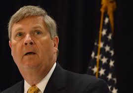 Pittsburgh native Vilsack's name floated as potential Clinton running mate 