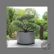 You can still have a beautiful outdoor garden without worrying that you don't have a plot of dirt to use. Large Round Planter For Specimen Plant Large Plant Pots Planter Pots Outdoor Large Outdoor Planters