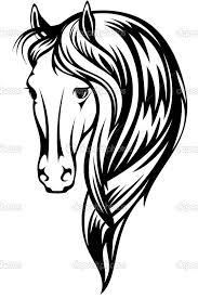 Horse Head Photospetsbunch Com Petsbunch Com White Horse Images Horse Drawings Horse Stencil