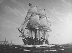 Steamboat - Wikipedia