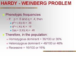We've got 16% of the population unable to taste. Allele Frequency Hardy Weinberg N N A Population