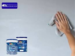 Liệt kê những loại sơn trong nhà lau chùi được