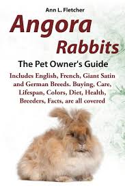 We did not find results for: Buy Arnab Angora Adalah Seorang Pemilik Haiwan Peliharaan Panduan Termasuk Bahasa Inggeris Perancis Gergasi Satin Dan Melayu Baka Membeli Penjagaan Jangka Hayat Warna Diet Kesihatan Penternak Fakta Semua Dilindungi Paperback Online In