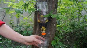 Wasserfilter Selber Bauen Filterzentrale Wasserfilter Filter Heilwasser