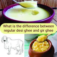 What Is The Difference Between Regular Desi Ghee And Gir Cow Ghee Desi Ghee Ghee Ghee Benefits