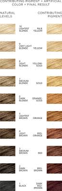 Contributing Pigment Chart Hair Hair Color Hair Color