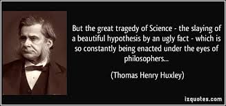 Famous Philosophy Quotes Quotesgram Learn vocabulary, terms and more with flashcards, games and other study tools. famous philosophy quotes quotesgram