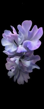 Bu arşivde 240*320px hareketli ve normal 102 adet resime ulaşabilir, bilgisayarınıza kaydedip cep telefonunuza atabilirsiniz. Download Galaxy Z Flip Wallpapers And See Your Home Screen Bloom Sammobile