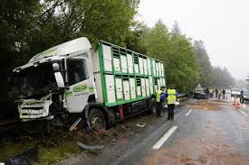 Le nom de fix vient du latin fines, la limite, la frontière ; Un Pere Et Son Fils Trouvent La Mort Dans Une Collision Au Col De Fix Fix Saint Geneys 43320