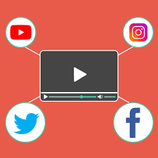 Boston terrier tricks owner in order to jump into swimming pool. How To Make A Viral Video Tips Ideas And Examples