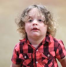 Ultimate Rib & Cheese Melt! Melted cheese meets juicy ribs in this recipe  🧀🥪