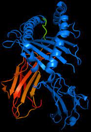 Behcet S Disease Wikipedia
