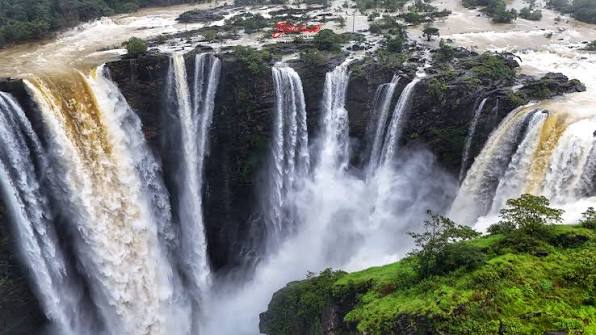 Jog falls now - 19/08/2025. Jog falls flowing in its full glory as the Linganmakki dam gates were opened today. . #travel #karnataka #jogfalls