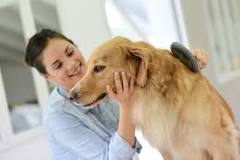 Image result