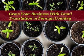 Tamil Translation Services India Delhi Uae Mumbai Usa Uk Australia Noida Translation Growing Growing Your Business