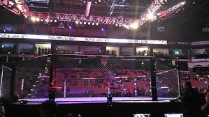 Learn all the fighter's results & upcoming fights schedule at scores24.live! Getting To Know Light Heavyweight Prospect Alex Polizzi