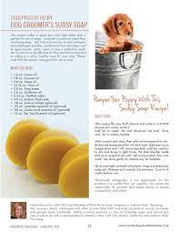 Wsp Handmade Vol018 Dog Soap Dog Shampoo Bar Homemade Dog Shampoo