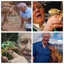 A very Happy 98th Birthday to reptile advocate and conservationist Sir  David Attenborough!