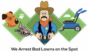Begin by gathering some landscaping business names and then learning all you can about these companies. Professional Lawn Care In Pueblo And Pueblo West Co Pueblo Lawn Cop