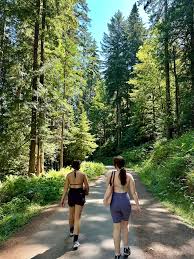 Lake Crescent did not disappoint!!! 😱😍 Who has a fav lavender farm rec  for tomorrow's adventure in Sequim? We are headed to the spit too. ❤️