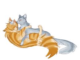 Follow the vibe and change your wallpaper every day! 24350 Safe Artist Stan Squirrel Flight Goldenflower Warrior Cats Willowpelt Warrior Cats Cat Feline Mammal Feral Warrior Cats 2020 Blushing Cute Duo Duo Female Female Female Female Licking Shipping Simple Background Snuggling