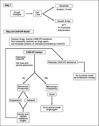 We did not find results for: Synopsis Of A Roundtable On Validating Novel Therapeutics For Multiple Myeloma Clinical Cancer Research