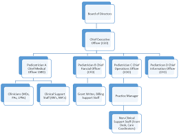 Org Chart Template Office Word Flowchart Medical Process