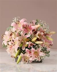 We did not find results for: Stunning Stargazer Lily Bouquet Birthday Gifts Netflorist