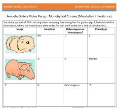 Monohybrids With Punnett Squares Handout Made By The Amoeba Sisters Click To Visit Website And Life Science Lessons Biology Classroom Life Science Activities