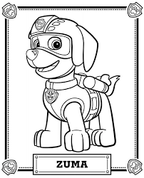 Zuma's revenge credits part 8. Zuma Paw Patrol Bilder Zum Ausdrucken Novocom Top